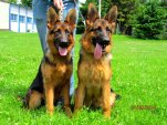 1-6-2014-holky-003.jpg