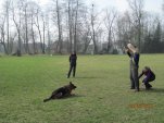 29-3-2014-pribor-001.jpg