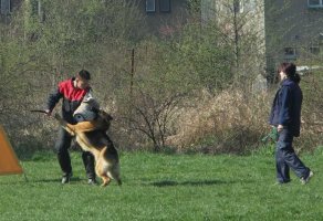 Bonitace 2007