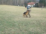 Baquero aus Wattenscheid