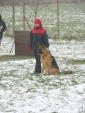 Hranice 18.11.2007- IPO 2