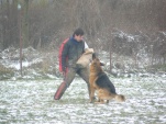 Hranice 18.11.2007- IPO 2