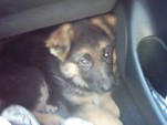 Baquero aus Wattenscheid