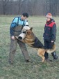 Baquero aus Wattenscheid