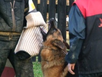 baquero-002.jpg