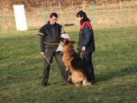 baquero-005.jpg
