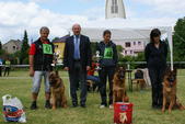 hnevosice-2011-002.jpg