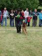 hnevosice-2011-005.jpg