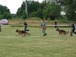 hnevosice-2011-006.jpg