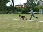 hnevosice-2011-007.jpg