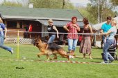 osv-jaromer-2012-001.jpg