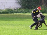Marinskohorsk pohr