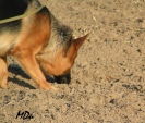 natcho-kirschental-006.jpg