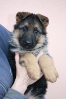 catka-001.jpg