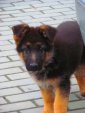 hermina-iluze-001.jpg