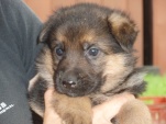 rena-5-tydnu-001.jpg