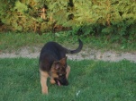 salome-2-5-mesice-004.jpg