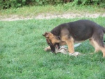 salome-2-5-mesice-006.jpg