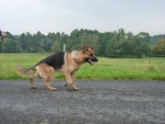 sazko-horni-sucha-001.jpg