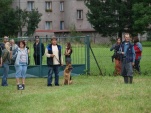 sazko-zzo-001.jpg
