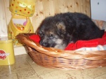 tara-iluze-002.jpg