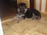 tara-iluze-005.jpg