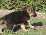tara-iluze-009.jpg