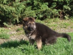 tara-iluze-010.jpg