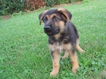 viktor-iluze-005.jpg