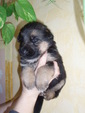3-tydny-fenky-001.jpg