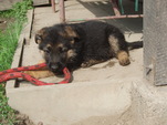 6-tydnu-004.jpg