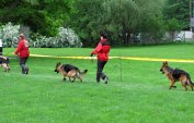 yrro-opava-2012-004.jpg