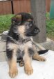 5-tydnu-momentky-008.jpg