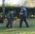 bonitace-004.jpg