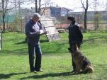 ipo-v-2010-001.jpg