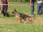 senov-09-001.jpg