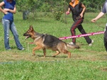 senov-09-002.jpg
