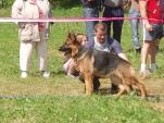 senov-09-004.jpg