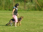 vpg-1-2010-001.jpg