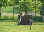 vpg-1-2010-002.jpg