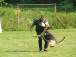 vpg-1-2010-006.jpg