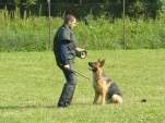 vpg-1-2010-007.jpg