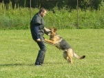 vpg-1-2010-009.jpg