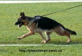 chira-z-weisova-dvora-003.jpg