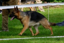 ora-iluze-002.jpg