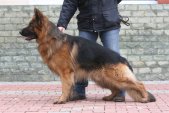 varto-iluze-001.jpg