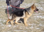 varia-od-hradu-drahotuch-002.jpg