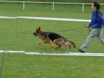 moravicany-2009-001.jpg