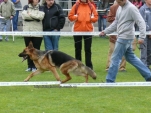moravicany-2009-004.jpg
