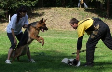 obrana-pribor-2008-004.jpg